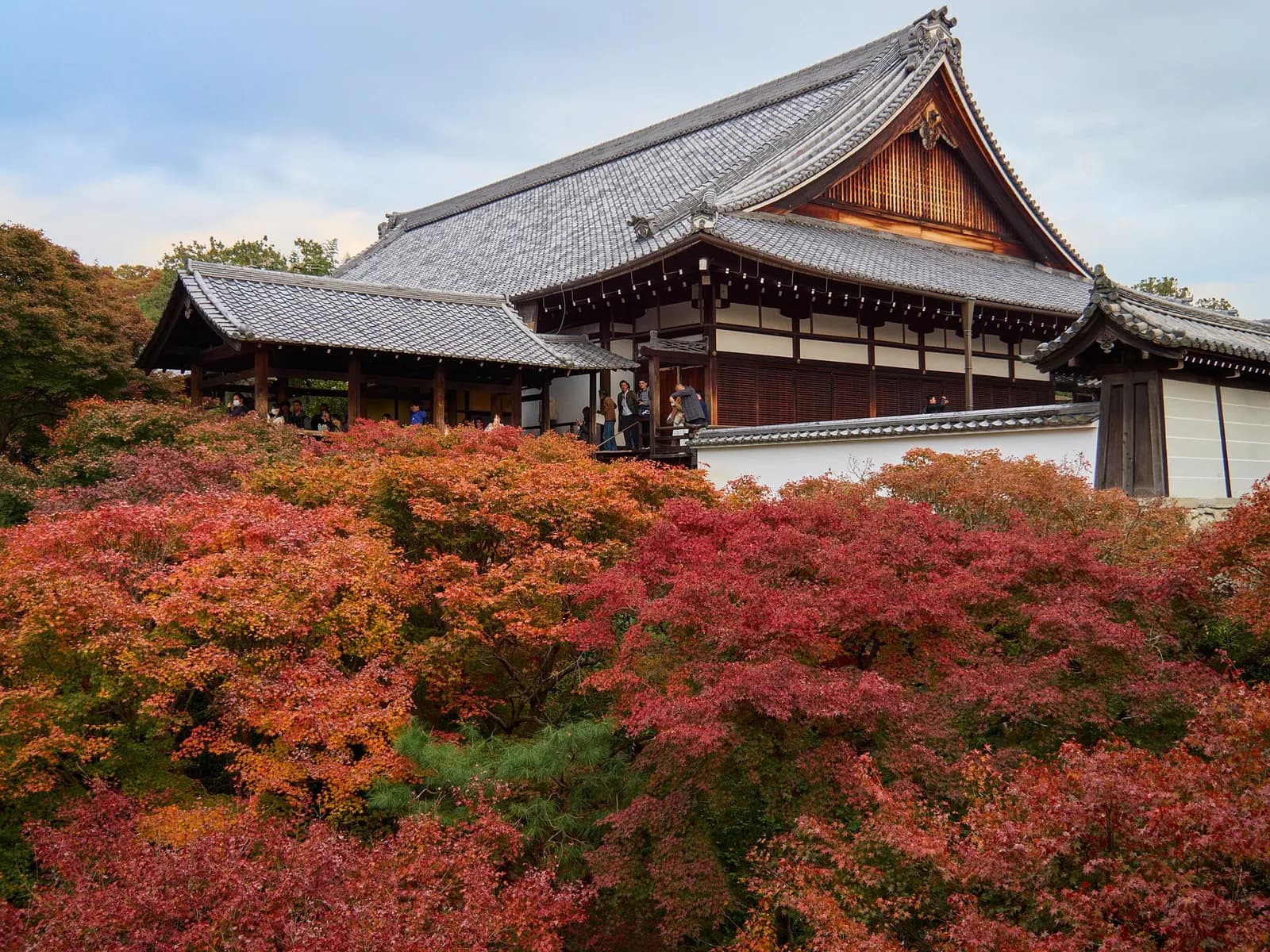 Foto: templo entre arces en Kioto